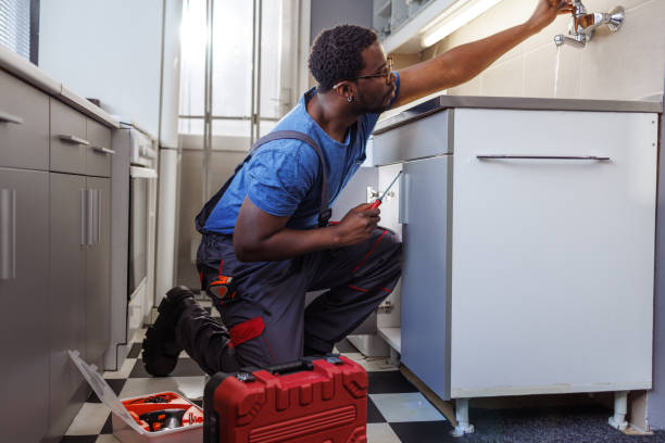 Best Sprinkler Systems  in Wamac, IL